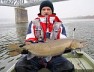 Troć 92 cm z Wisły.