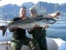 Norwegia - czerniak 12,8 kg.